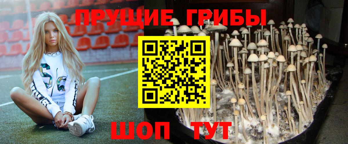 Галлюциногенные грибы мицелий  Вход с VPN  Нерюнгри 